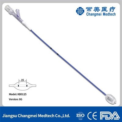 Recover Vertebral Body Catheter